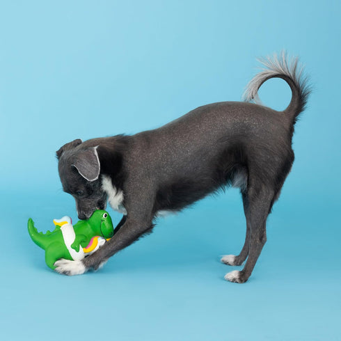 Fringe Studio Dog Toy, Pool Side Rex, Latex, Pet Shop Collection (366011)