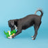 Fringe Studio Dog Toy, Pool Side Rex, Latex, Pet Shop Collection (366011)