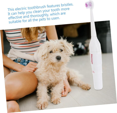 2 Pack FOMIYES Electric Pet Toothbrush Safe Gentle on Gums Portable for Travel Dog Oral Care Random Color