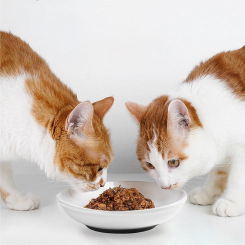 4 Pack Cat Food Bowl with Nonslip Silicone Bottom,Healthy Ceramic Pet Bowls for Indoor Cats,Anti Whisker Fatigue Cat Dishes Set,Shallow Wide Kitten Puppy Feeding Plates for Wet Food and Water