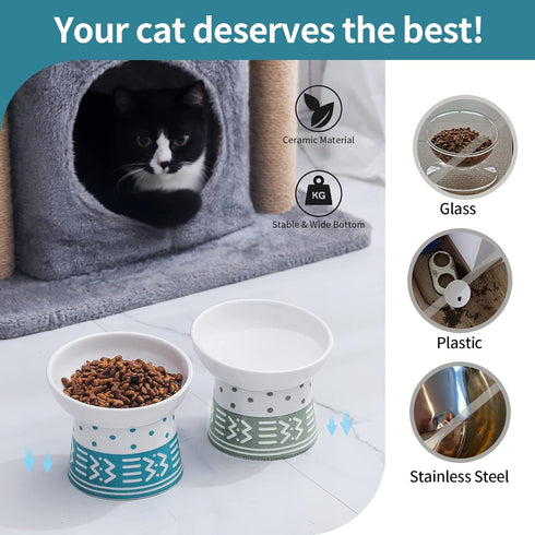 TAMAYKIM Tilted Ceramic Elevated Cat Bowls, Set of 2 Raised Food & Water Bowls for Cats and Puppies, Cyan & Grey