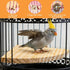 Asofelk 17CM Natural Wooden Bird Perch Platform - Flat Bird Cage Stand for Parrots, Budgies & Cockatiels - Resting