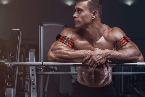 Occlusion Bands (PRO X), 2 Pack, 2 Inch Wide, Blood Flow Restriction Band Set for Arms with Quick-Release Buckle