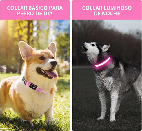 PcEoTllar Light Up Dog Collar for Night Walking, LED Rechargeable Color Changing, Waterproof for Large Medium Small Dogs