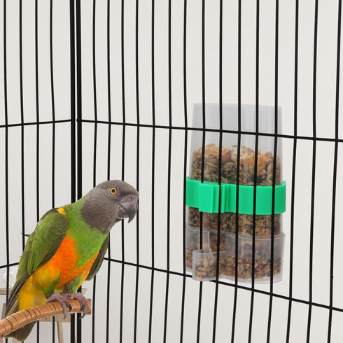 Hypeety Automatic Parrot Water Feeder, Clear No Mess Dispenser for Budgies, Cockatiels, and Lovebirds (Green & 1pc)