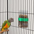 Hypeety Automatic Parrot Water Feeder, Clear No Mess Dispenser for Budgies, Cockatiels, and Lovebirds (Green & 1pc)