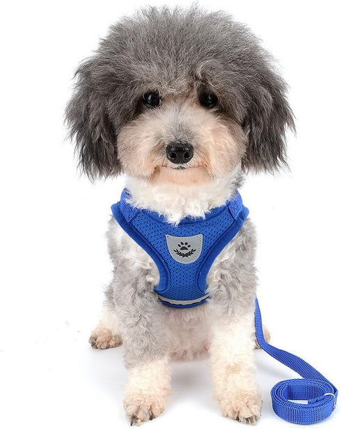 Zunea No Pull Dog Harness for Tiny Small Dog, Escape Proof Kitten Lead, Reflective Soft Mesh Padded Vest Harness Set