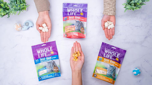 Whole Life Pet Just One Turkey - Cat Treat or Topper, Human Grade, Freeze Dried, Grain Free