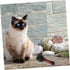 NOLITOY 2 Pcs Pet Double Sided Comb, Cat Cleaning Accessories, Dog Shedding Brush & Cat Massage Brush