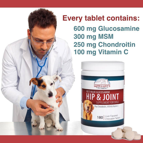 Lloyd & Lucy's Hip and Joint Supplement for Dogs, Chewable Multivitamin with Glucosamine, 180 Ct Tablets