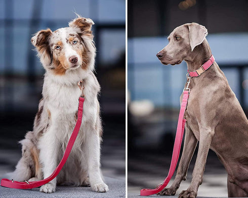 Soft Leather Dog Collar and Leash Set (6.6'), Stylish Rose Gold Heavy Duty Metal Buckle, Dark Pink M (13.8"-19.7")