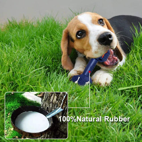 Dog Chew Toys for Aggressive Chewers, Food Grade Non-Toxic Dental Toy, Tough Durable Indestructible for Small Dogs