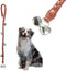 ZGLONG Dog Bells to Go Outside & Puppy Potty Training. Adjustable Dog Door