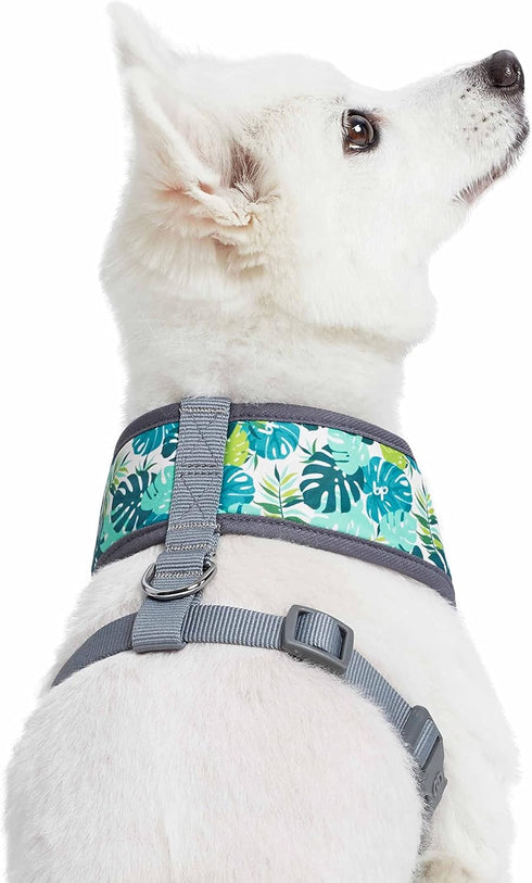 Blueberry Pet Essentials Soft & Comfy Dog Harness Vest, Adjustable Medium, Chest Girth 19.5" - 26" for Bahamas Vacation