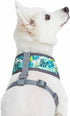 Blueberry Pet Essentials Soft & Comfy Dog Harness Vest, Adjustable Medium, Chest Girth 19.5" - 26" for Bahamas Vacation
