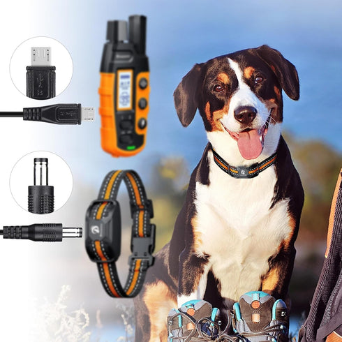 2-Pack Charger Cord for Bousnic Dog Shock Collar RS2A and RS2B, 2-in-1 USB Charging Cable