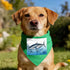 LZQPOEAS Bluefin Tuna Thunnus Dog Bandana, Classic Plaid Dog Bandanas for Small Medium Large Dogs, Adjustable Washable
