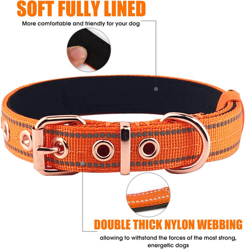 Neoprene Padded Dog Collar, Heavy Duty Nylon Collar with Metal Buckle for Small Medium Large Dogs (Small, Orange)