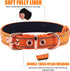 Neoprene Padded Dog Collar, Heavy Duty Nylon Collar with Metal Buckle for Small Medium Large Dogs (Small, Orange)