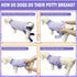 Dog Surgery Recovery Suit, Spay Neuter Onesie for Male Female Dogs, Cone Alternative, Purple, Medium