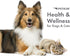 Petkin Fingertip Eye Wipes for Dogs and Cats, 50 Finger Wipes for Cleaning Eye Area and Tear Stains