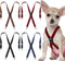 Sanwuta 4 Pieces Dog Diaper Suspenders Male Female Adjustable Pet Diaper Keeper