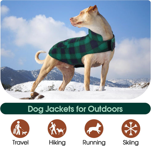 Kuoser Dog Winter Coat, Reversible British Style Jacket, Warm Cold Weather Vest for Small Dogs, Green S