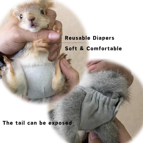 2 Pcs Squirrel Diapers- Reusable Washable Squirrel Diapers Absorbent with Strong & Flexible Pants for Squirrel,Fancy
