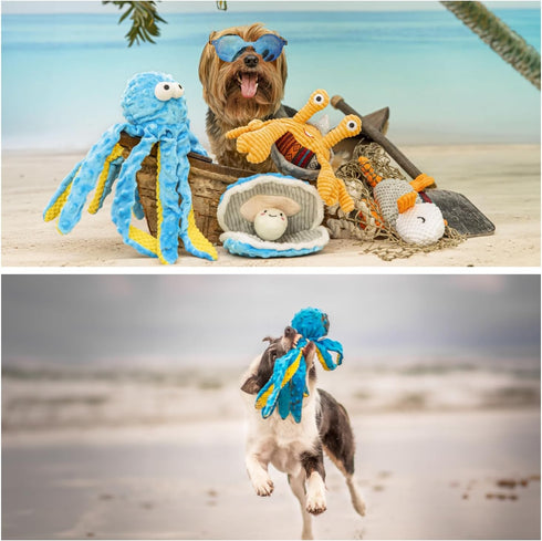 Nocciola Crinkle Squeaky Dog Toy, Blue Octopus, Interactive Rope Toy for Small Medium Large Dogs