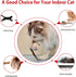 Gigwi Chirping Bird Cat Toy Set - Interactive Motion Activated Toy for Indoor Cats