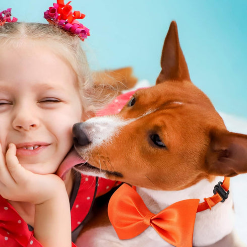 200 Pieces Adjustable Dog Bow Ties with Collar, 19 Colors, Pet Grooming Accessories for Medium Little Dogs