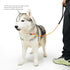 Dog Leash, Strong Lightweight Pet Training Leash for Small, Medium, or Large Dogs, Slip Leads (Black, 4ft)