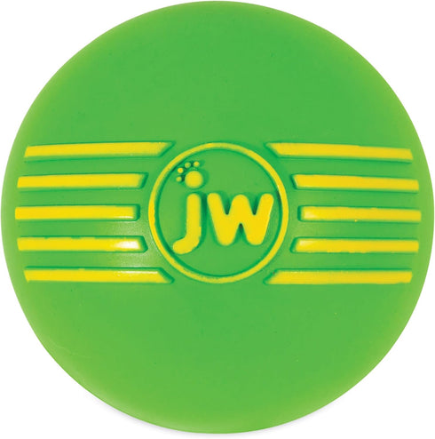 JW Pet Large iSqueak Ball Dog Toy