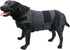 Breathable Dog Shirt for Thunderstorm, Anxiety Vest Jacket Wrap, Puppy Calming Coat for Anxiety Relief (XL, Grey)