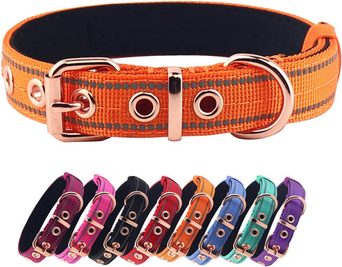 Neoprene Padded Dog Collar, Heavy Duty Nylon Collar with Metal Buckle for Small Medium Large Dogs (Small, Orange)