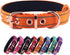 Neoprene Padded Dog Collar, Heavy Duty Nylon Collar with Metal Buckle for Small Medium Large Dogs (Small, Orange)