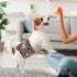 3pcs Pack DM55M CuteBone Dog Diapers Male Washable Belly Band for Male Dogs Wraps Black a
