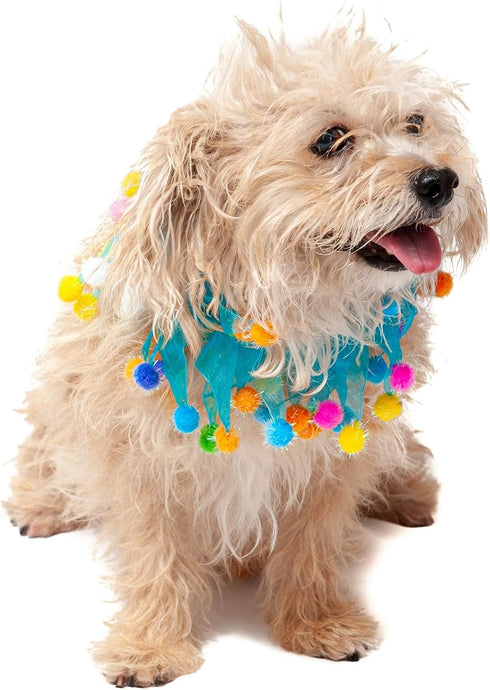 Midlee Blue Birthday Pom Pom Dog Collar (Small)