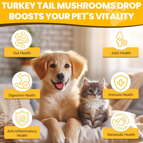Jazytiko Immune 5X 90 ML Turkey Tail Mushroom for Dogs - for Yeast & Itchy Skin, Turkey Tail Mushroom for & Digestive
