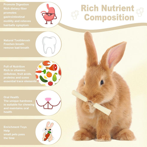 Petawi 500g Chinchilla Chinchilla Sweet Bamboo Chew Sticks Natural Rabbit Guinea Pig Chews Sticks Toys for Teeth Bunny