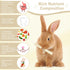 Petawi 500g Chinchilla Chinchilla Sweet Bamboo Chew Sticks Natural Rabbit Guinea Pig Chews Sticks Toys for Teeth Bunny