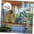 WOONEKY Safe Biting Bird Toy for Parrots - Bright Teether Plaything