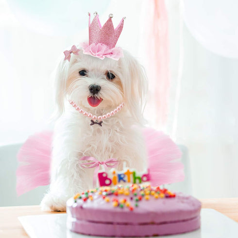 Dog Birthday Outfit Pink Tutu with Birthday Hat, Necklace & Bowtie Hairpin for Dogs (16-23 inch Wrist)