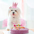 Dog Birthday Outfit Pink Tutu with Birthday Hat, Necklace & Bowtie Hairpin for Dogs (16-23 inch Wrist)