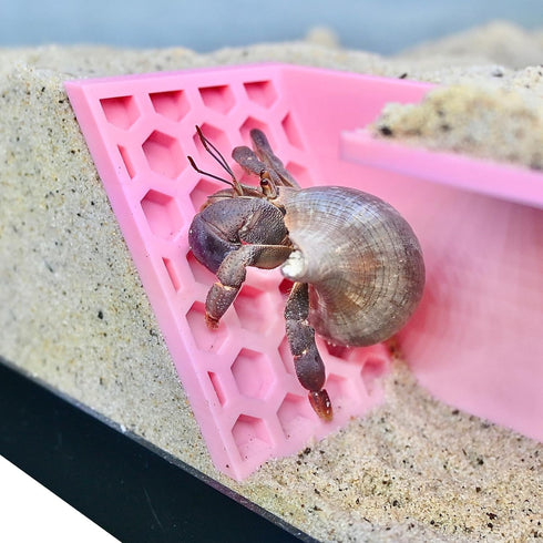 Hermit Crab Underground Tunnel Cave Corner | Hermit Crab Climbing Tank Decor Hide Hideout | Hermit Crab Habitat