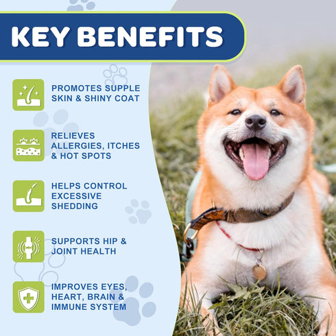 3 180 NATURE TARGET Omega Fish Oil for Dogs, Salmon Oil for Dogs Skin and Coat with EPA & DHA Fatty Acids, Dog Itchy