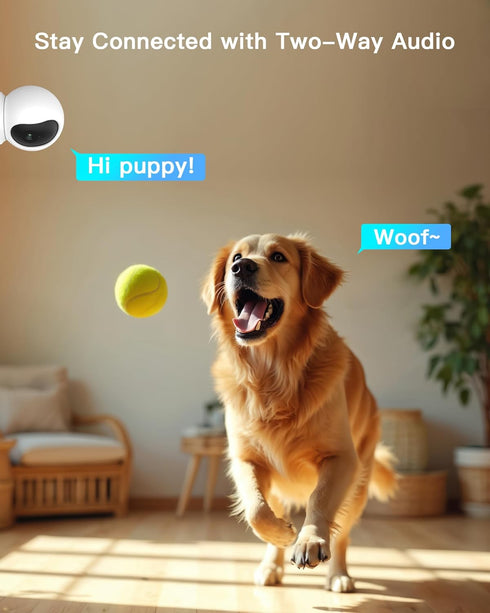 ARENTI 5G 4MP 2-Way 64G Storage(P2Q 64G 1PC) Pet Camera, No Subscription Indoor Security Camera for Dog/Cat/Baby, Free