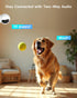 ARENTI 5G 4MP 2-Way 64G Storage(P2Q 64G 1PC) Pet Camera, No Subscription Indoor Security Camera for Dog/Cat/Baby, Free