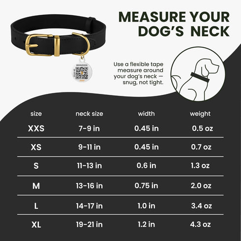BRONZEDOG Leather Dog Collar with QR ID Tag, Basic Pet Collars for Small Dogs, Black & Gold Buckle