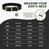 BRONZEDOG Leather Dog Collar with QR ID Tag, Basic Pet Collars for Small Dogs, Black & Gold Buckle